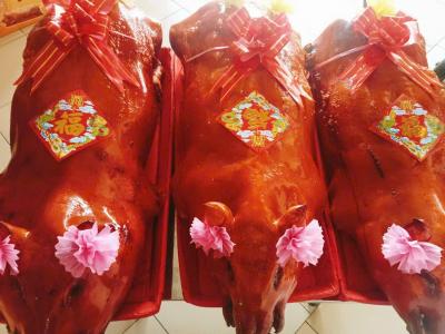 Đặt Heo Quay Cúng Nguyên Con Tân Bình